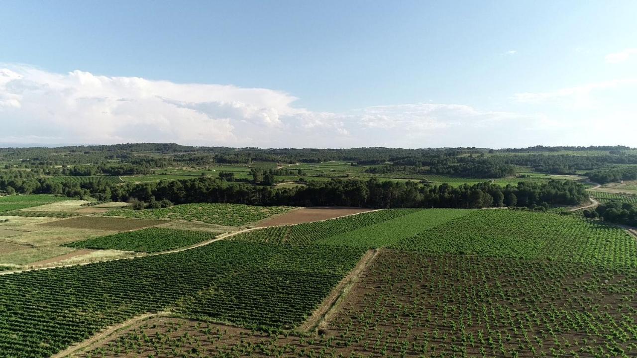 Vilasira Los Cojos Exteriér fotografie